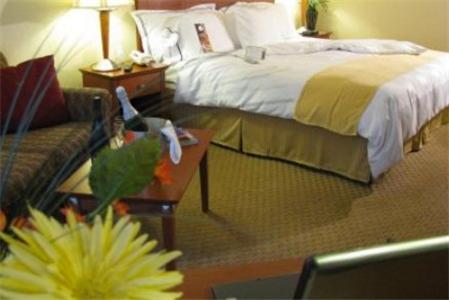 Charleston Airport Hotel North Charleston Szoba fotó